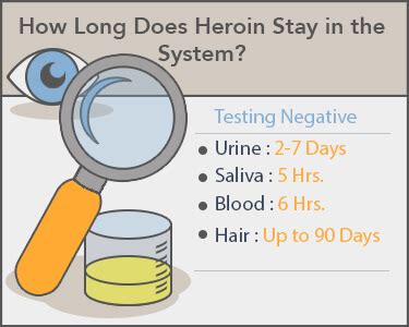 does morphine show up on a drop urine test|Opioid Testing: What to Know .